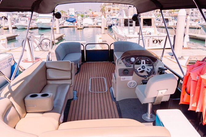 Whale Watching in Cabo San Lucas on board our Luxury Trimaran! - A small group changes the feel