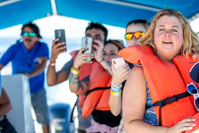 Whale Watching in Cabo San Lucas: Sightseeing Cruise and Shopping - El Arco in a 20-minute visit