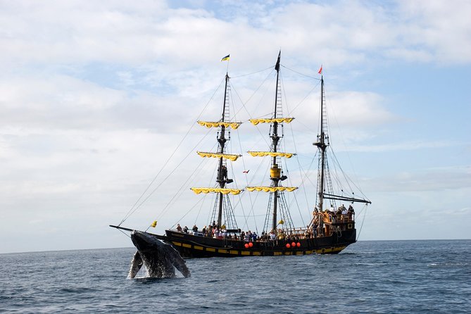 Whale-Watching Pirate Ship Cruise in Los Cabos - Breakfast, drinks, and pirate entertainment