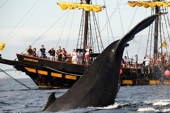 Whale-Watching Pirate Ship Cruise in Los Cabos - Who will enjoy the two-hour format