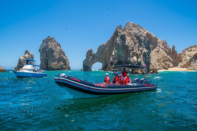 Whale Watching & Snorkeling Combo in Los Cabos with Photos Included - An hour of snorkeling in the Sea of Cortez