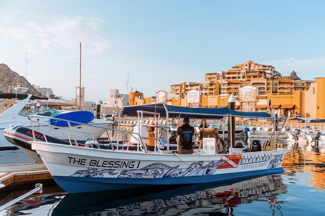 Whale Watching Tour in Cabo San Lucas - What the 2.5-hour boat ride feels like