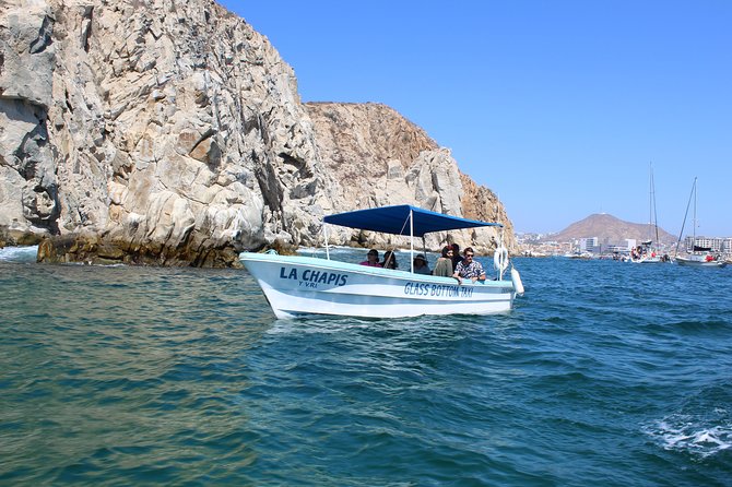 Whale Watching Tour in Glass Bottom Boat (VisitA Cabo) - Why the eight-person limit matters