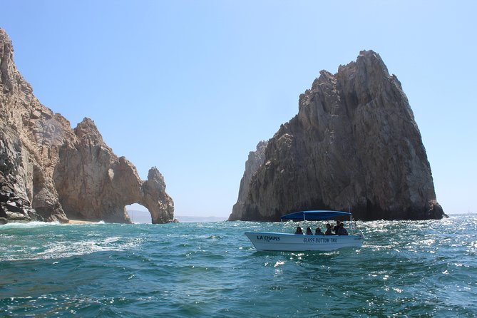 Whale Watching Tour in Glass Bottom Boat (VisitA Cabo) - Who will get the most from this outing