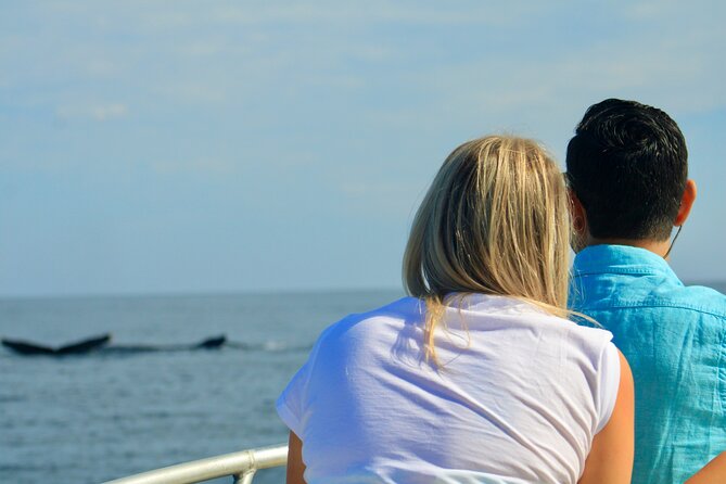 Whale Watching Warranty in San José del Cabo Snacks and drinks - What the crew adds to the experience