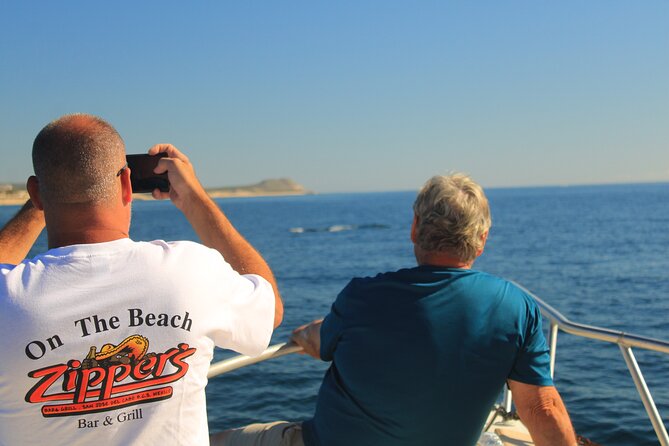 Whale Watching Warranty in San José del Cabo Snacks and drinks - Who should book this trip